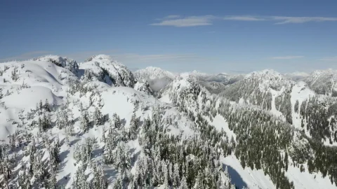 Stock Video Landscape Of Snow Covered Mountain And Pines Animated Wallpaper - Live wallpaper gratis