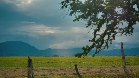 Stock Video Landscape Of A Large Open Field On A Sunny Afternoon Animated Wallpaper - Live wallpaper gratis