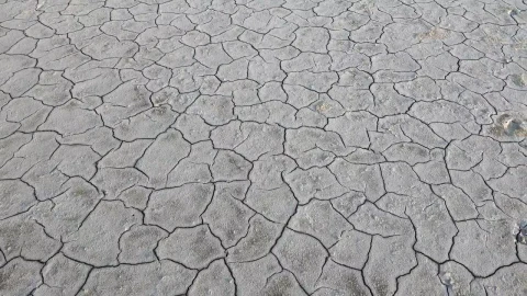 Stock Video Land Soil Cracked From Drought Animated Wallpaper - Live wallpaper gratis