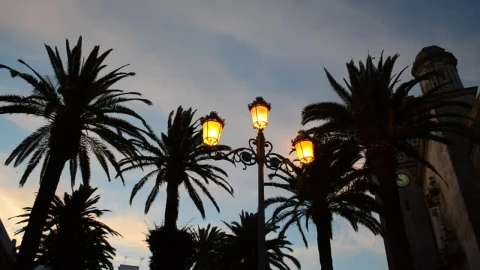 Stock Video Lamps On A Cool Night Animated Wallpaper - Live wallpaper gratis
