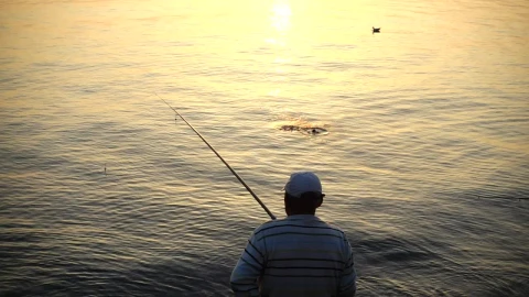 Stock Video Man Catching A Fish In The Evening Animated Wallpaper - Live desktop wallpaper Wallpaper