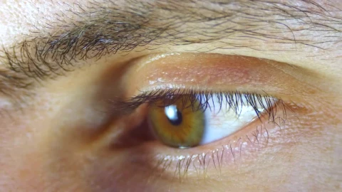 Stock Video Macro Shot Of A Human Eye Blinking Animated Wallpaper - Live desktop wallpaper Wallpaper