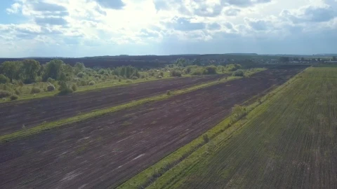 Stock Video Long Fields In The Countryside Animated Wallpaper - In Wallpaper