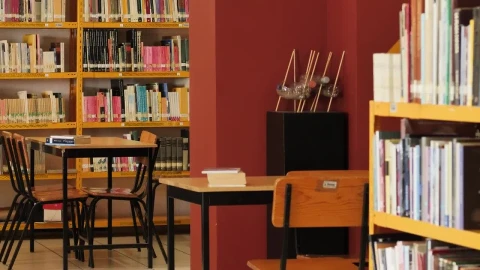 Stock Video Lonely Library Seen Carefully And In Detail Animated Wallpaper - In Wallpaper