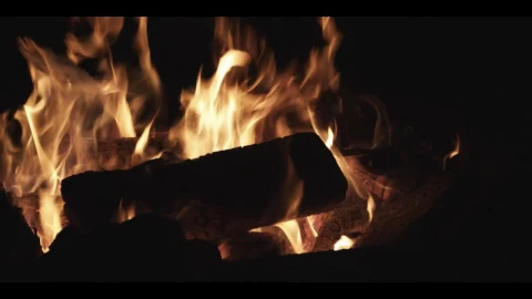 Stock Video Logs Burning In The Campfire Animated Wallpaper - In Wallpaper