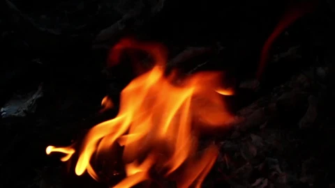 Stock Video Logs Burning In A Campfire Animated Wallpaper - In Wallpaper