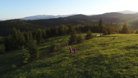 Stock Video Little Sisters Playing In The Meadow Of A Ranch Animated Wallpaper - In Wallpaper