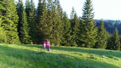 Stock Video Little Sisters Looking To The Sky In A Meadow Animated Wallpaper - In Wallpaper
