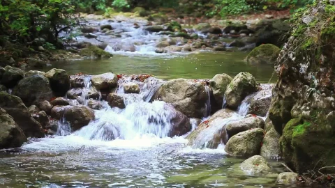 Stock Video Little Rocky River In The Woods Animated Wallpaper - In Wallpaper