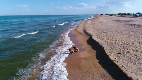 Stock Video Little Girls Play In The Sand With The Waves Of Animated Wallpaper - In Wallpaper