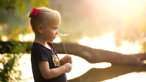 Stock Video Little Girl Smelling A Flower In Nature Animated Wallpaper - In Wallpaper