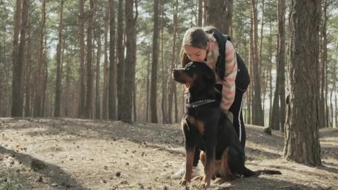 Stock Video Little Girl Kisses Her Dog In The Park Animated Wallpaper animated wallpaper preview