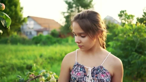 Stock Video Little Girl Collecting Apples In A Garden Animated Wallpaper - In Wallpaper