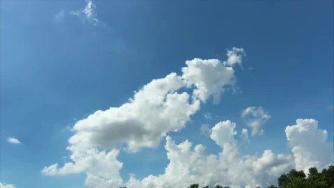 Stock Video Light Blue Sky Above Woodland Animated Wallpaper animated wallpaper preview