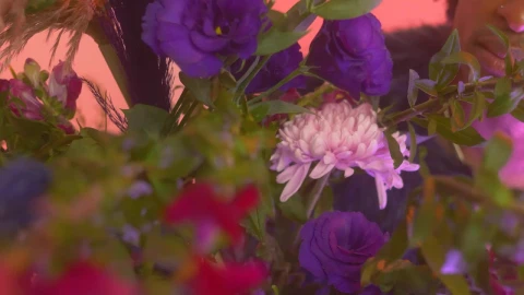 Stock Video Lgbtq Man Taking A Flower In A Pink Setting Animated Wallpaper - In Wallpaper