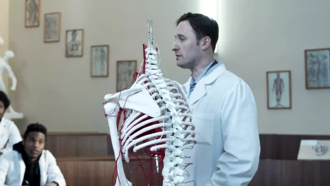 Stock Video Lecture On Human Anatomy In The Classroom Animated Wallpaper - In Wallpaper
