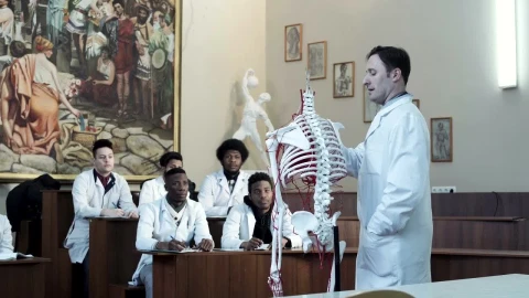Stock Video Lecture Of Anatomy In The Classroom Animated Wallpaper - In Wallpaper
