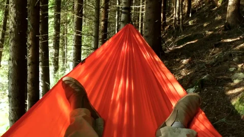Stock Video Laying In A Hammock In The Forest Animated Wallpaper - In Wallpaper