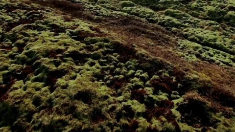 Stock Video Lava Fields In Iceland Animated Wallpaper - In Wallpaper