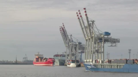 Stock Video Large Ships In Hamburg Smal Animated Wallpaper - In Wallpaper