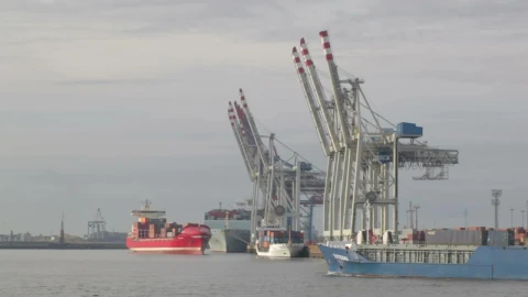Stock Video Large Ships In Hamburg Animated Wallpaper - In Wallpaper