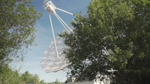 Stock Video Large Satellite Antenna In The Forest Smal Animated Wallpaper - In Wallpaper