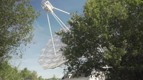 Stock Video Large Satellite Antenna In The Forest Animated Wallpaper - In Wallpaper