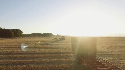 Stock Video Large Hay Bales In A Field Animated Wallpaper - In Wallpaper