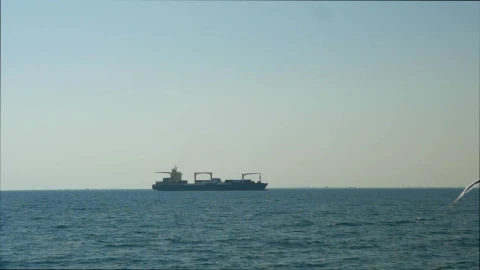 Stock Video Large Container Ship Out In The Ocean Animated Wallpaper - In Wallpaper