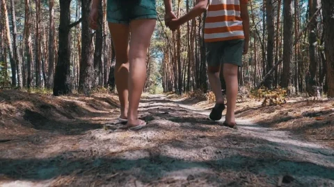 Stock Video Mother And Son Walk Holding Hands In A Fores Animated Wallpaper - In Wallpaper