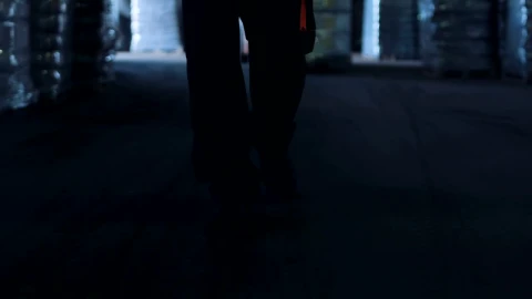 Stock Video Man Walking Through The Warehous Animated Wallpaper - Made in abyss Wallpaper