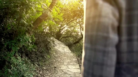 Stock Video Man Walking In An Autumn Garde Animated Wallpaper - In Wallpaper