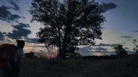Stock Video Pair Of Mountaineers Walking Through Nature At Dusk Live Wallpaper – Free Live Wallpaper
