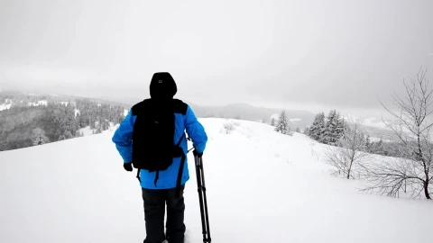 Video Stock Photographer With A Camera And Tripod In The Snow Live Wallpaper Free - A Wallpaper