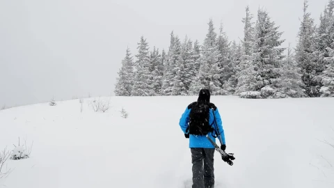 Video Stock Photographer With A Backpack Walking In The Forest While Snowing Live Wallpaper Free - A Wallpaper