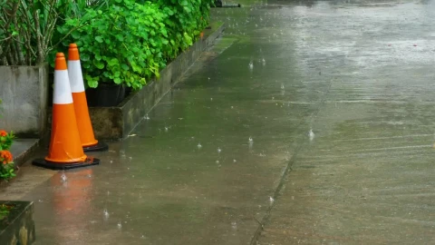 Video Stock Rain Falling In The Sidewalk Live Wallpaper Free - Free Wallpaper