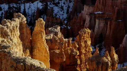 Free Stock Video Rock Formations In A Winter Forest Live Wallpaper animated wallpaper preview