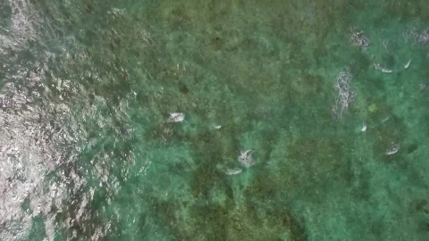 Free Stock Video Shallow Waters Leading To The Deep Ocean Live Wallpaper - Re zero Wallpaper