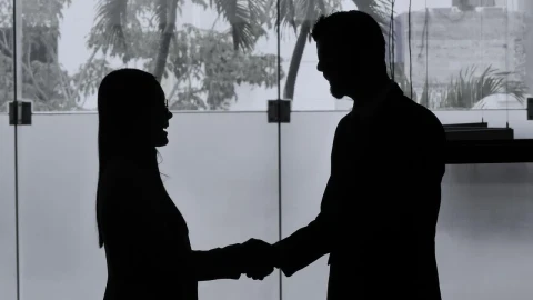 Free Stock Video Silhouettes Of A Woman And A Man Shaking Hands Live Wallpaper animated wallpaper preview