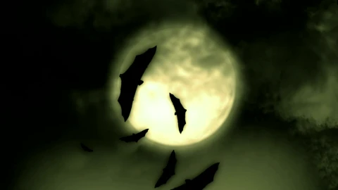 Free Stock Video Silhouettes Of Bats Flying Under The Full Moon Live Wallpaper - Re zero Wallpaper