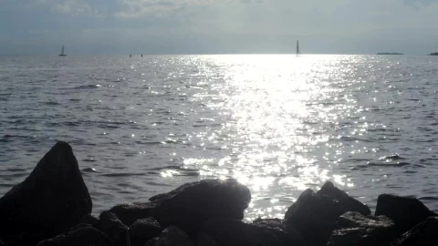Free Stock Video Silver Ripples Across The Coast Live Wallpaper animated wallpaper preview