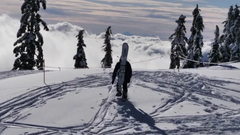 Free Video Stock Skier At The Peak Of A Snowy Mountain Live Wallpaper - Re zero Wallpaper