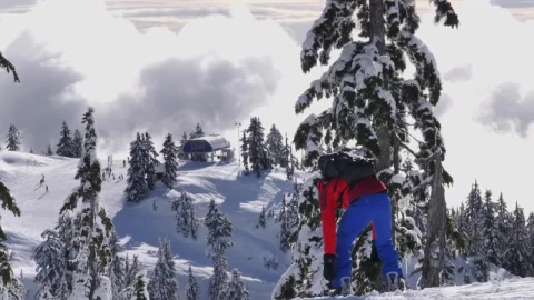 Free Video Stock Skier Fitting A Boot On Top Of A Mountain Live Wallpaper - Re zero Wallpaper