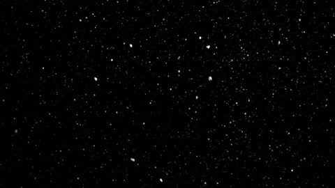 Free Video Stock Snow Falling In A Dark Night Live Wallpaper - Video Wallpaper