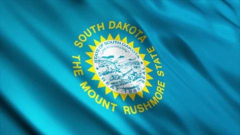Free Video Stock South Dakota Flag In United States Of America Live Wallpaper - Video Wallpaper