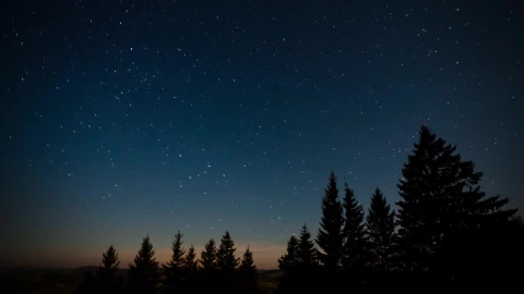Free Video Stock Starry Sky On A Quiet Night In The Forest Live Wallpaper - Video Wallpaper