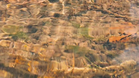Free Video Stock Stones Underwater In Creek Live Wallpaper - Video Wallpaper