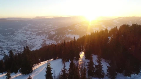 Free Video Stock sunset sunlight glaring in a wintry forest Live Wallpaper animated wallpaper preview