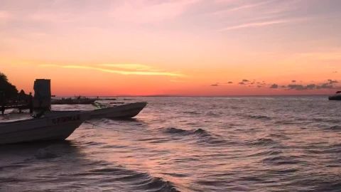 Free Video Stock the sunset near the seashore Live Wallpaper – Free Live Wallpaper
