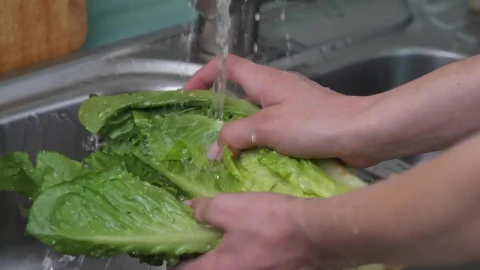 Free Stock Video Washing A Lettuce In The Kitchen Live Wallpaper – Free Live Wallpaper